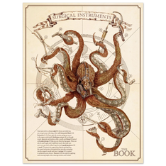 Octopus Premium Matte Paper Poster image #2