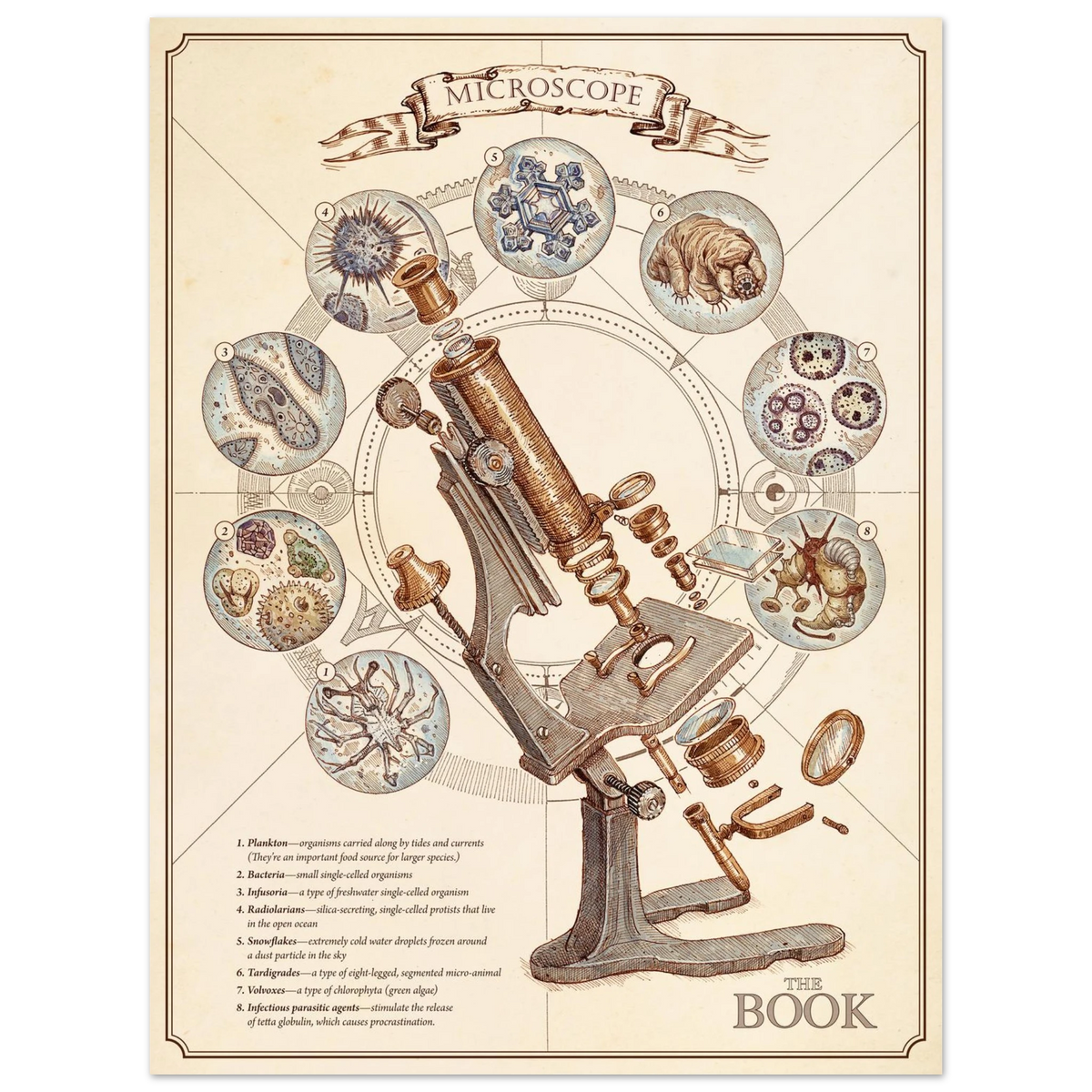 Microscope Premium Matte Paper Poster image #3