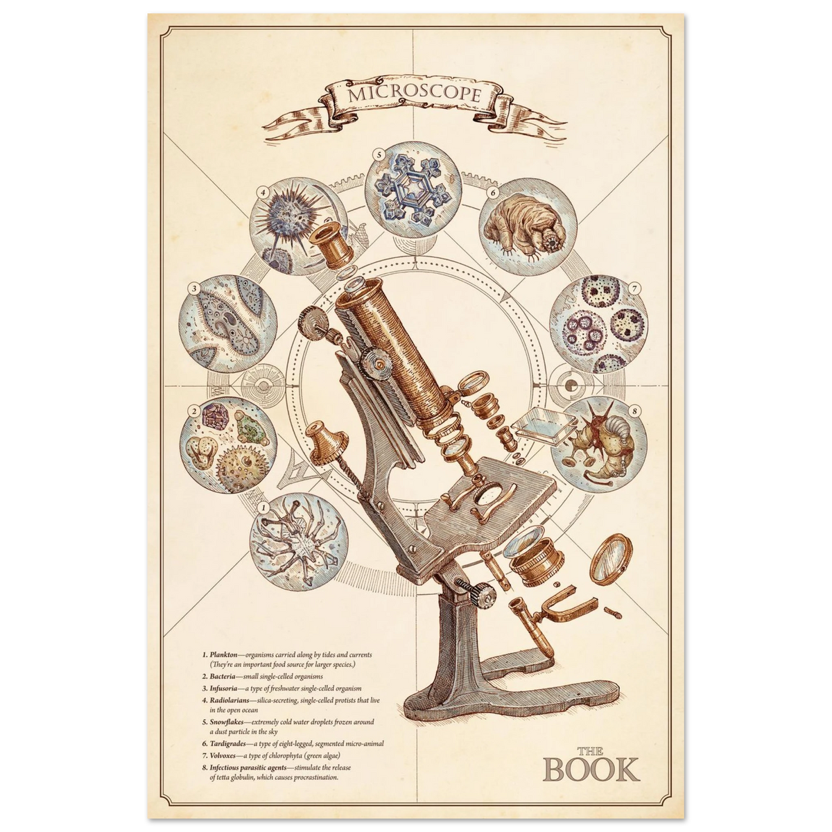 Microscope Premium Matte Paper Poster image #2