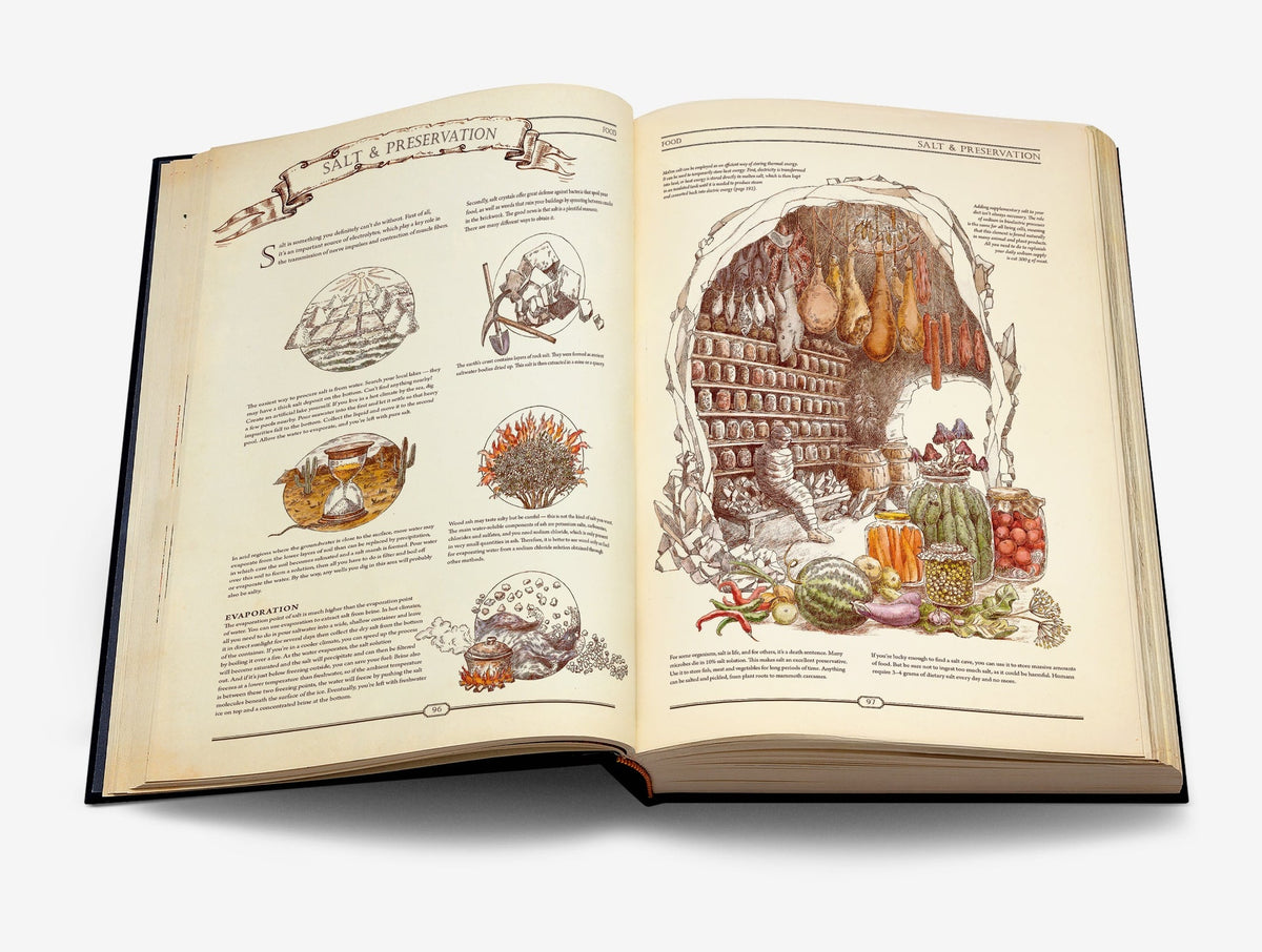 Open Hungry Minds book spread about salt and preservation