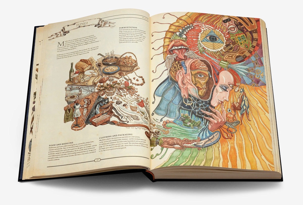 Open Hungry Minds book spread about fungi and fermentation