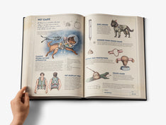 The Black Book. The Ultimate Guide to Alternative Inventions image #5