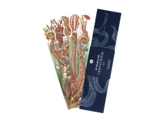 Marque-pages Octopolis image #1