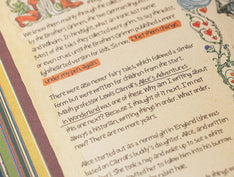 The Last Book. The Diary of The Last Earthling image #4
