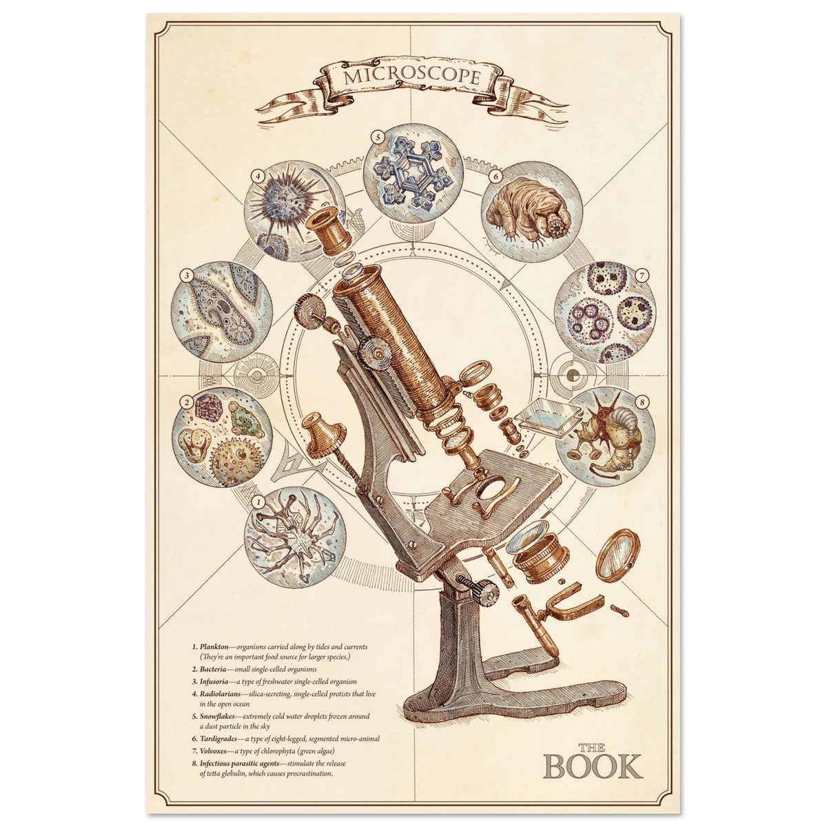 Microscope Premium Matte Paper Poster image #1