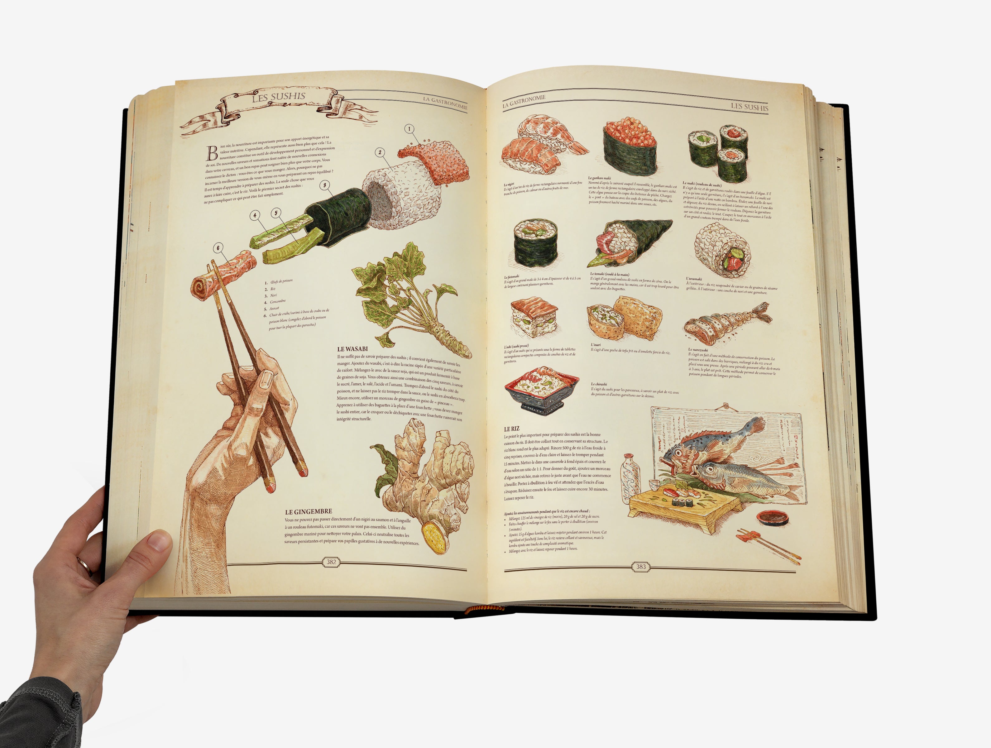 The Book. The Ultimate Guide to Rebuilding Civilization. French