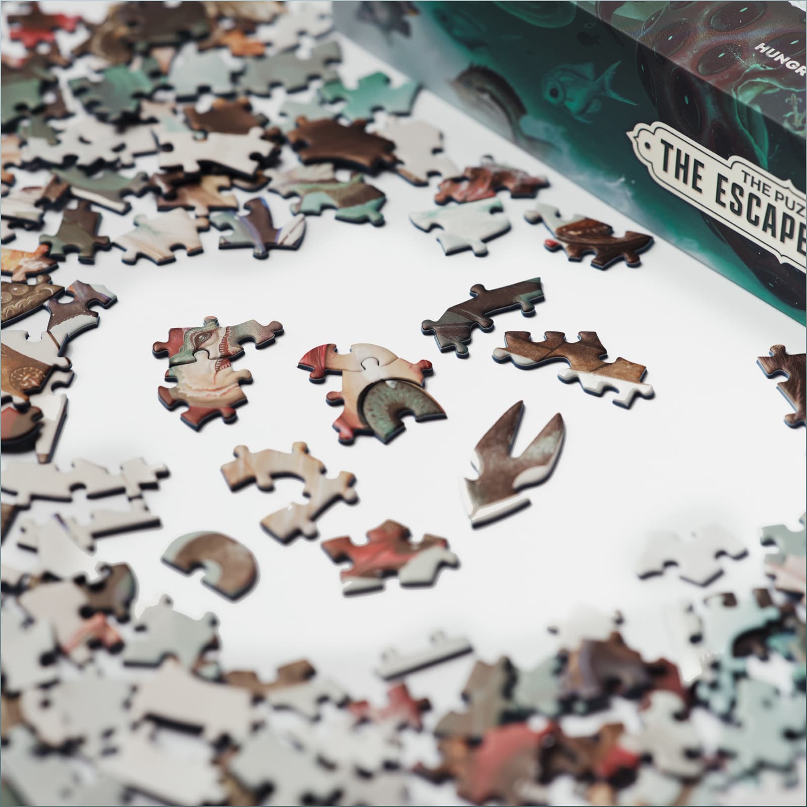 A Custom Die-Cut