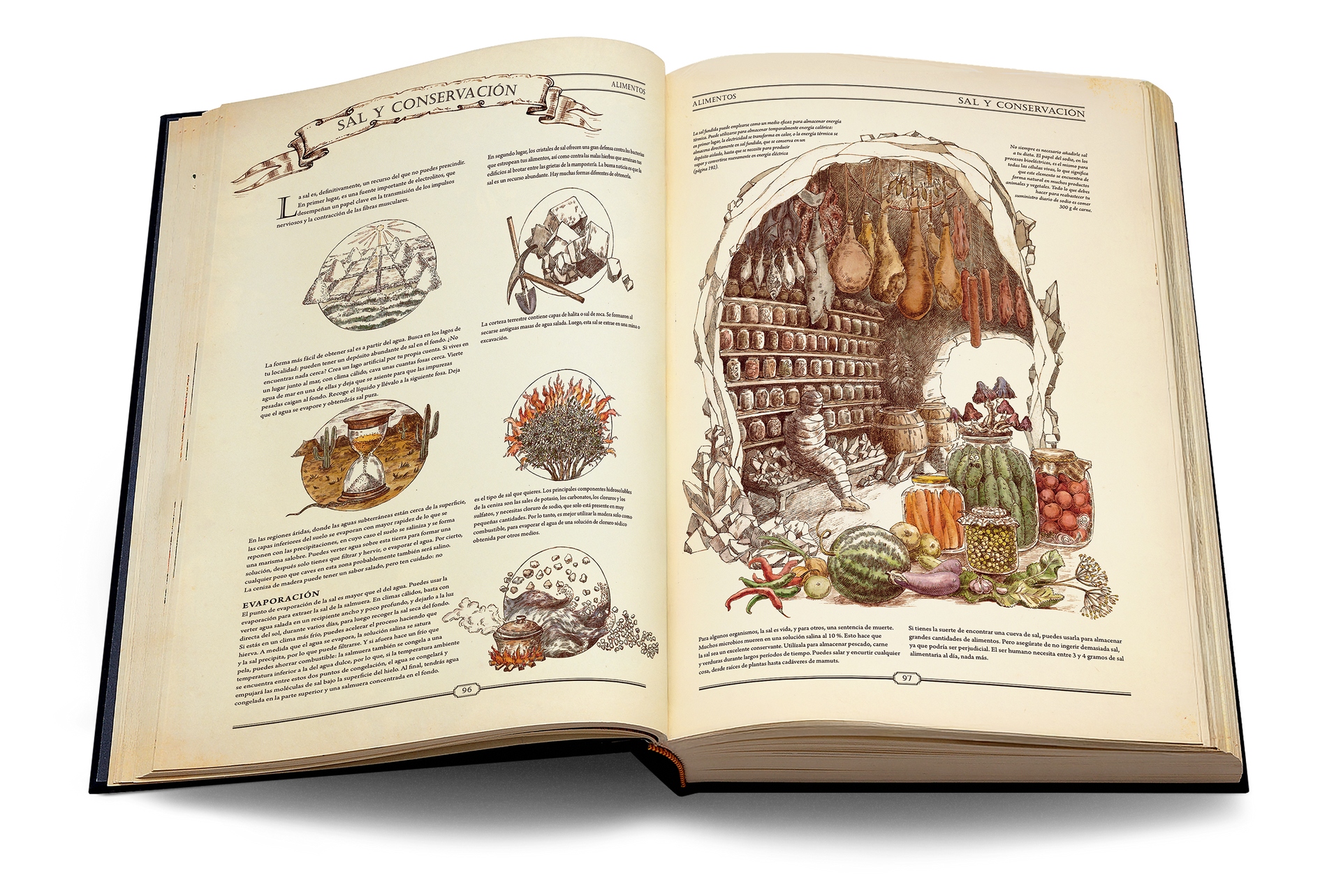 The Book. The Ultimate Guide to Rebuilding Civilization. Spanish Version image #7