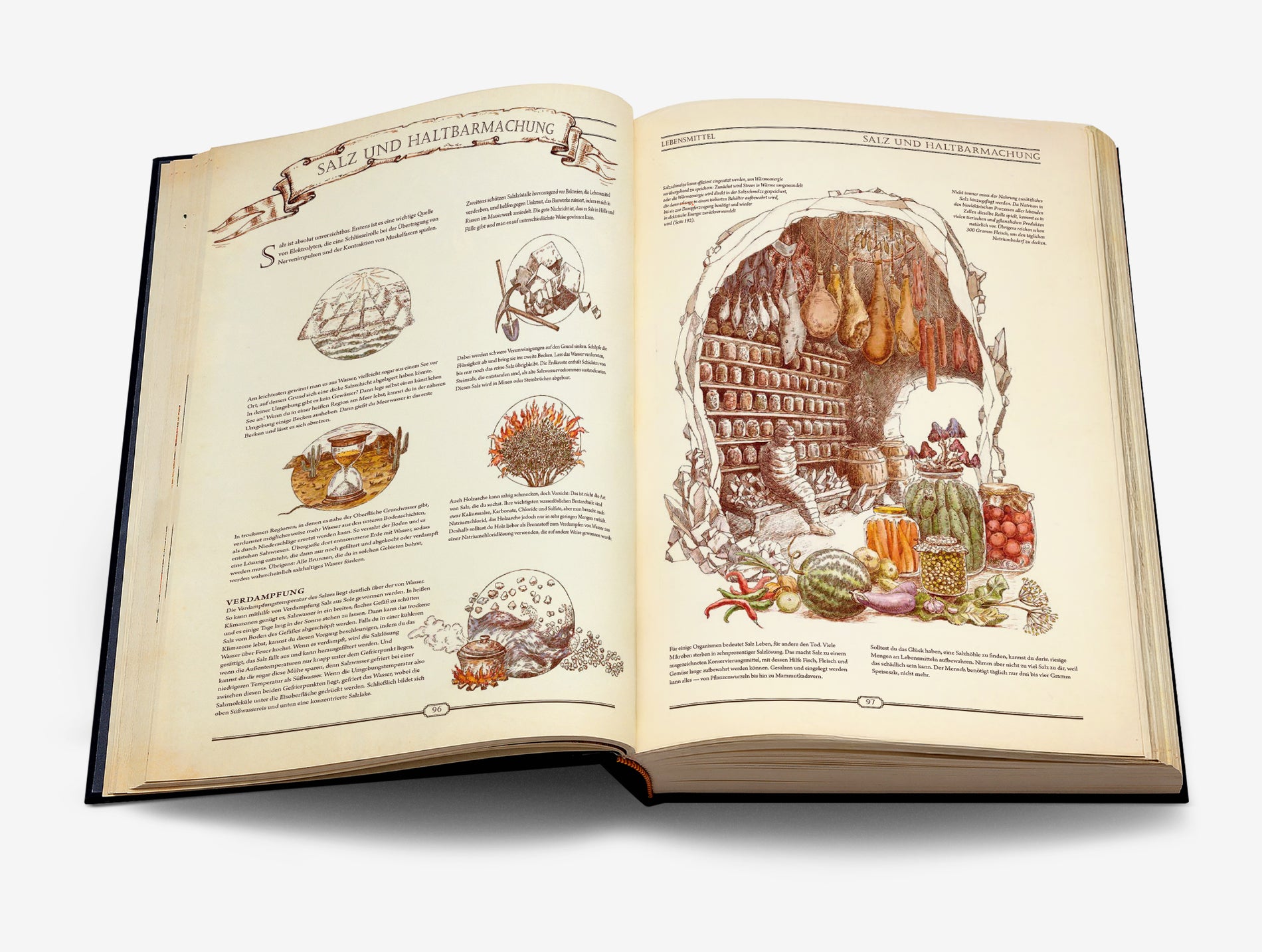 The Book. Der ultimative Wegweiser zum Wiederaufbau einer Zivilisation. Deutsche Version 🇩🇪 image #7