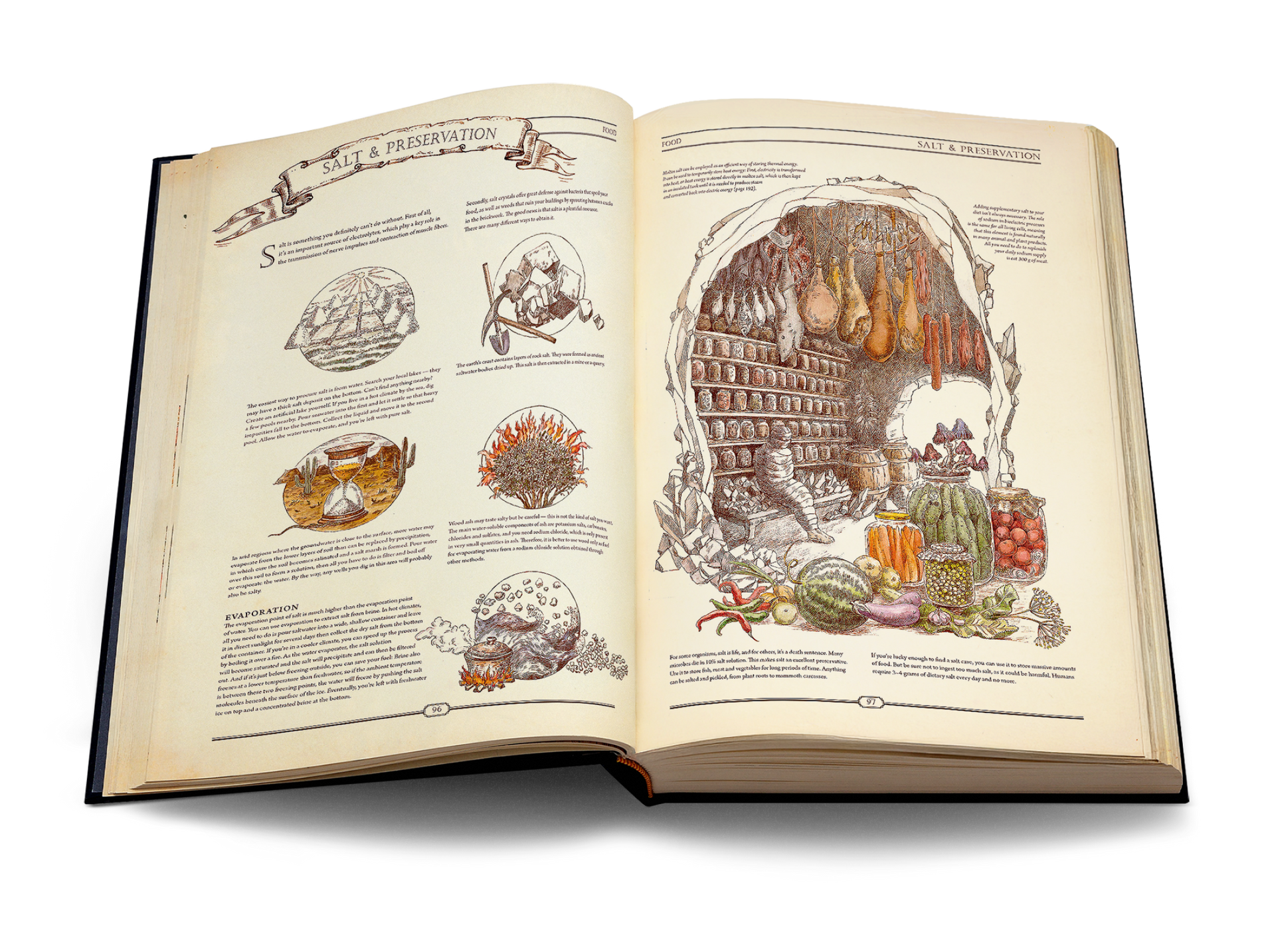 The Book. The Ultimate Guide to Rebuilding Civilization image #6