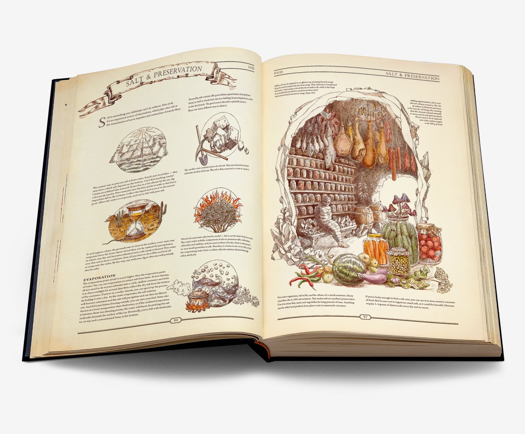 The Book - Hungry Minds