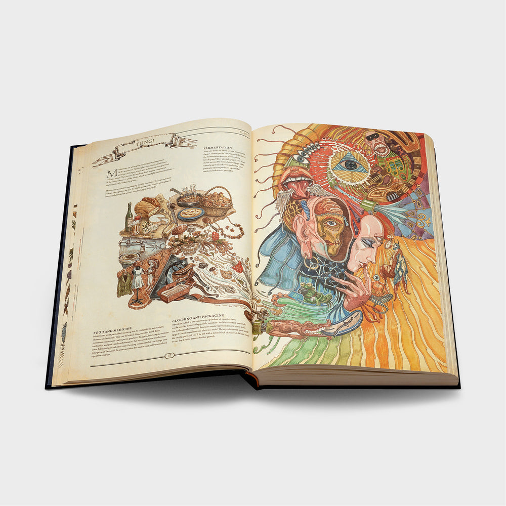 The Book. The Ultimate Guide to Rebuilding Civilization. English version 🇬🇧 #2